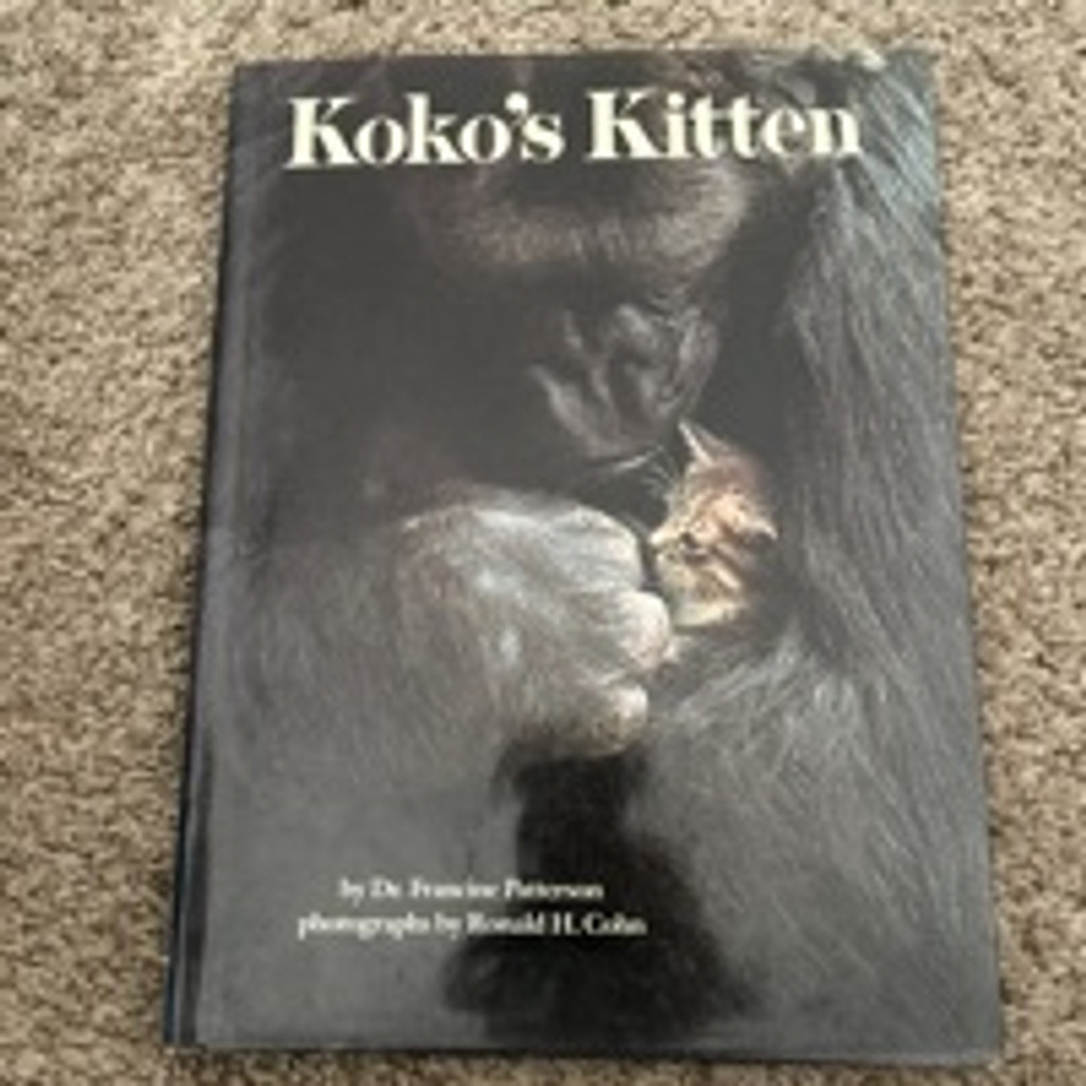 Koko's Kitten by Dr. Francine Patterson, Scholastic, Blue